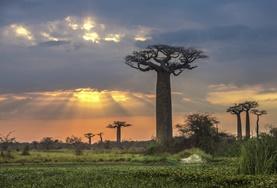 Ungdomsfrivillig Natur & Miljø Ungdomsfrivillig Natur & Miljø