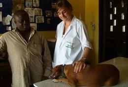Frivillig Veterinærmedisin & Dyrestell Frivillig Veterinærmedisin & Dyrestell